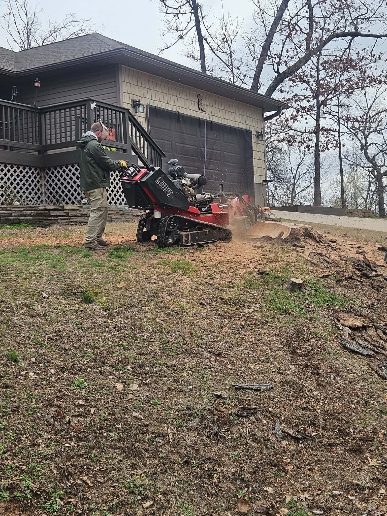 Professional stump grinding